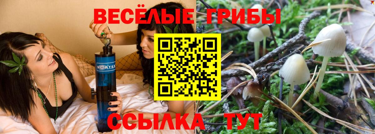 Псилоцибиновые грибы Psilocybine cubensis  Вход с VPN  Майкоп 